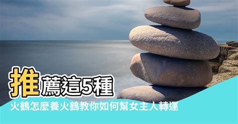 火鶴花風水|火鶴可放室內嗎？風水角度揭祕擺放禁忌 